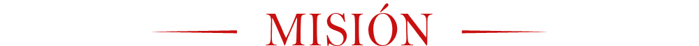 Misión